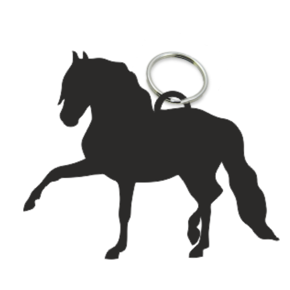 Lucky Horseshoe & Horse Pony Charm Keyring With Gift Bag